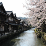 Pontocho Location & Nearby Attractions: Your Kyoto Itinerary Hub
